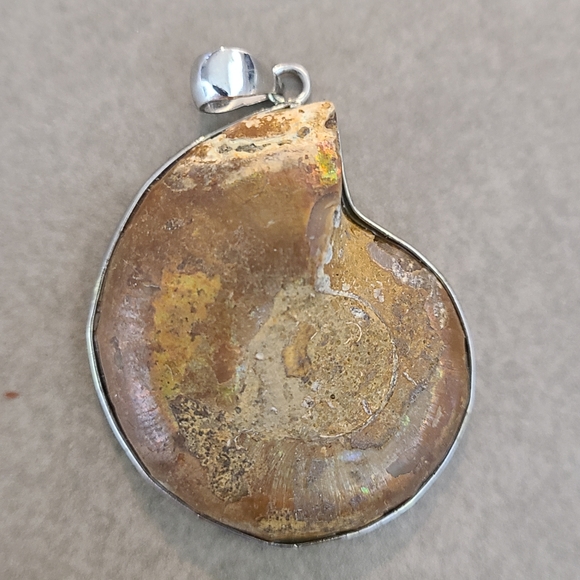 Ammonite fossil pendant - Picture 2 of 2